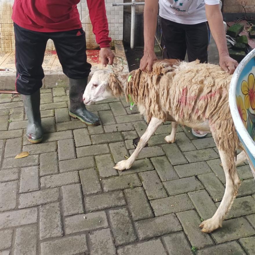 SELAMAT HARI RAYA IDUL ADHA TAHUN 2026
